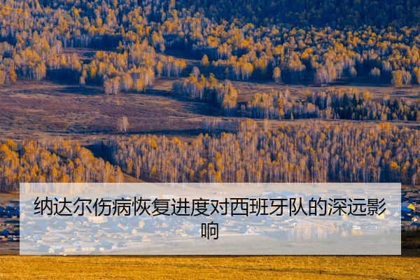na-da-er-shang-bing-hui-fu-jin-du-dui-xi-ban-ya-dui-de-shen-yuan-ying-xiang-2-658.jpg